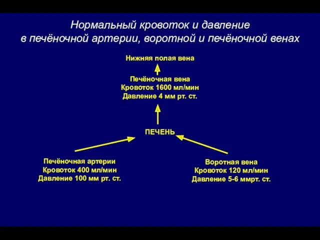 Нормальный кровоток и давление в печёночной артерии, воротной и печёночной