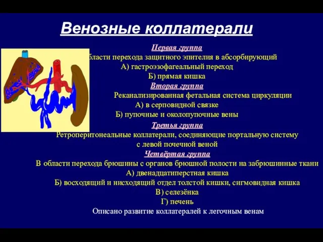 Венозные коллатерали Первая группа В области перехода защитного эпителия в