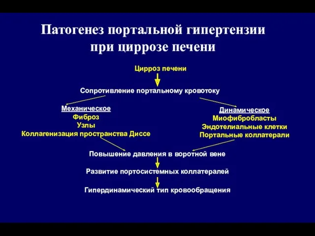 Патогенез портальной гипертензии при циррозе печени Механическое Фиброз Узлы Коллагенизация