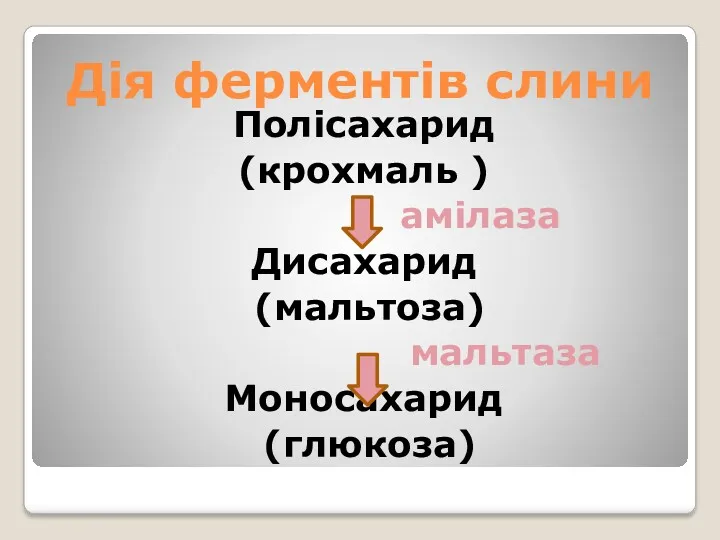 Дія ферментів слини Полісахарид (крохмаль ) амілаза Дисахарид (мальтоза) мальтаза Моносахарид (глюкоза)