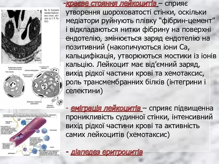 краєве стояння лейкоцитів – сприяє утворення шороховатості стінки, оскільки медіатори