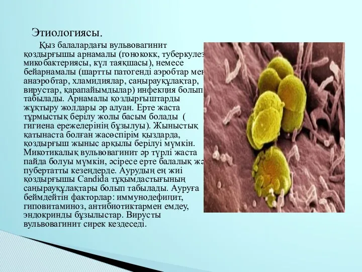 Этиологиясы. Қыз балалардағы вульвовагинит қоздырғышы арнамалы (гонококк, туберкулез микобактериясы, күл
