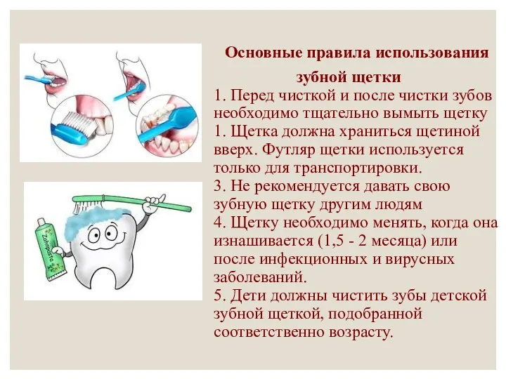 Основные правила использования зубной щетки 1. Перед чисткой и после