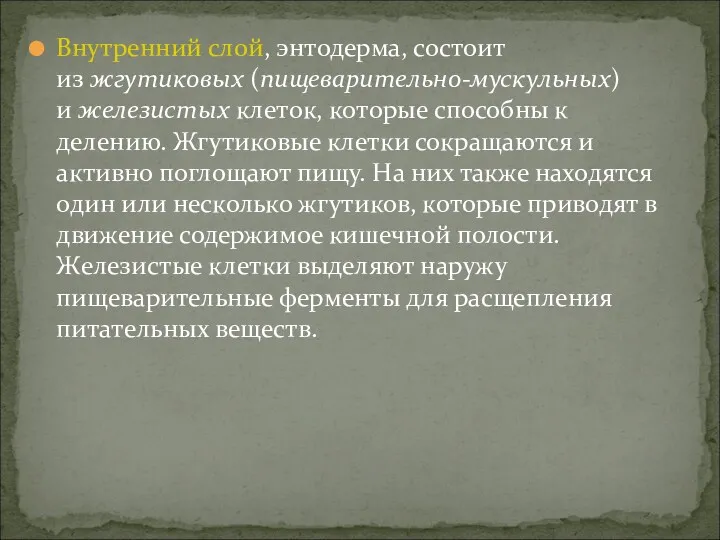 Внутренний слой, энтодерма, состоит из жгутиковых (пищеварительно-мускульных) и железистых клеток,