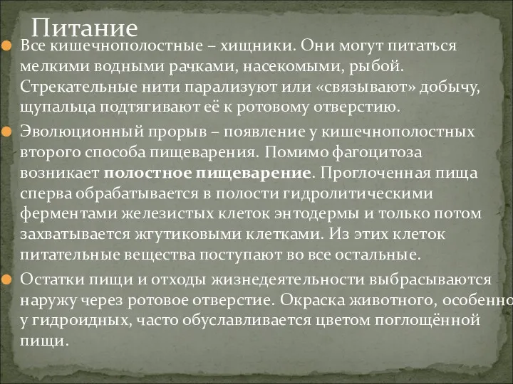 Все кишечнополостные – хищники. Они могут питаться мелкими водными рачками,