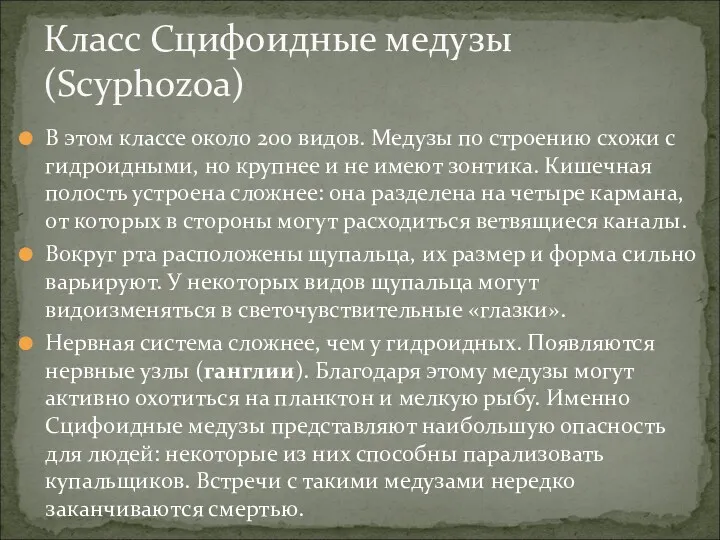 В этом классе около 200 видов. Медузы по строению схожи