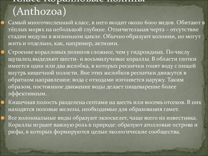 Самый многочисленный класс, в него входит около 6000 видов. Обитают