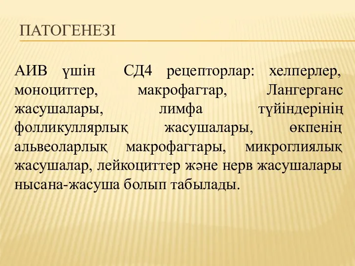 ПАТОГЕНЕЗІ АИВ үшін СД4 рецепторлар: хелперлер, моноциттер, макрофагтар, Лангерганс жасушалары,