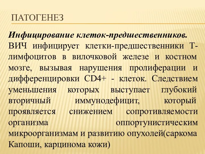 ПАТОГЕНЕЗ Инфицирование клеток-предшественников. ВИЧ инфицирует клетки-предшественники Т-лимфоцитов в вилочковой железе