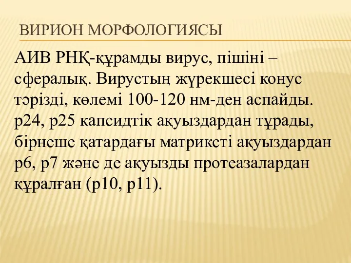 ВИРИОН МОРФОЛОГИЯСЫ АИВ РНҚ-құрамды вирус, пішіні – сфералық. Вирустың жүрекшесі