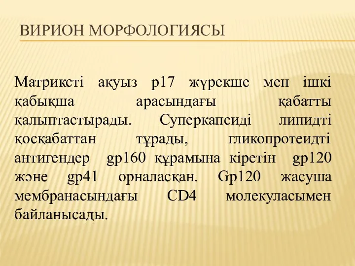 ВИРИОН МОРФОЛОГИЯСЫ Матриксті ақуыз р17 жүрекше мен ішкі қабықша арасындағы