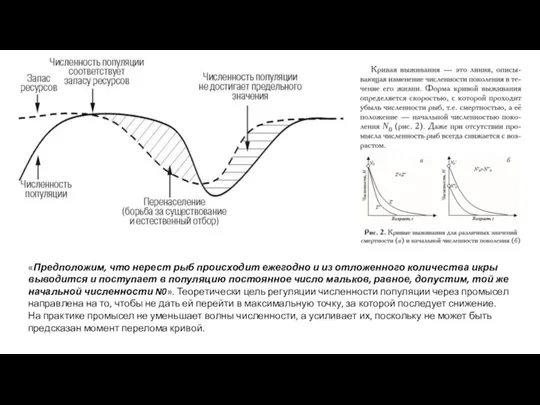 . «Предположим, что нерест рыб происходит ежегодно и из отложенного