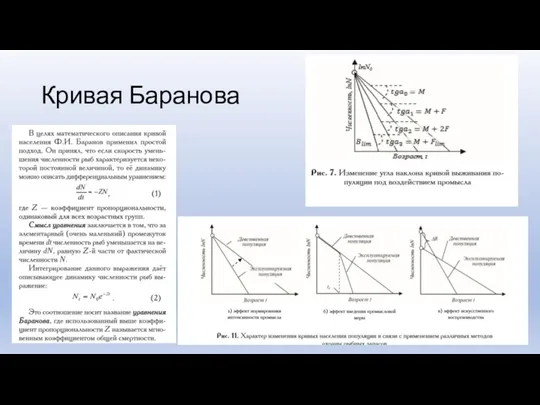 Кривая Баранова