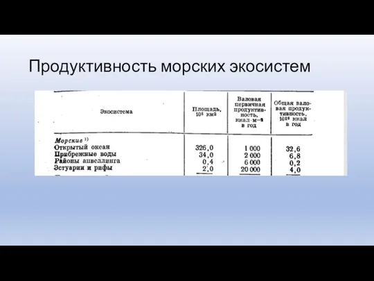 Продуктивность морских экосистем