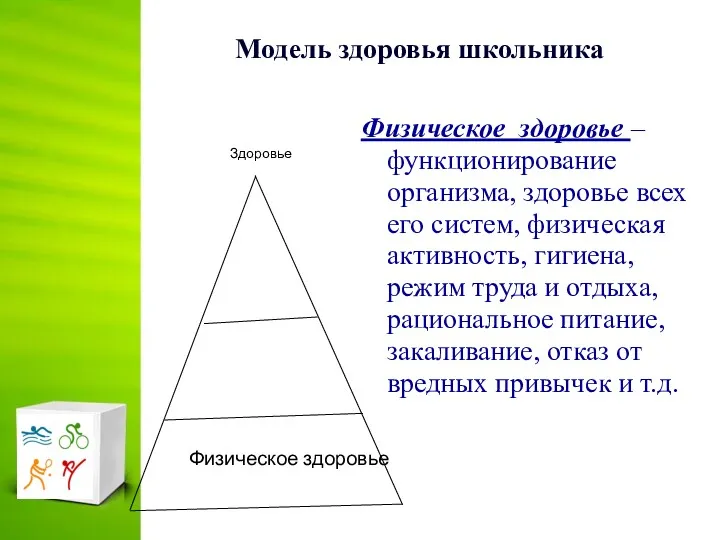 Модель здоровья школьника Физическое здоровье – функционирование организма, здоровье всех