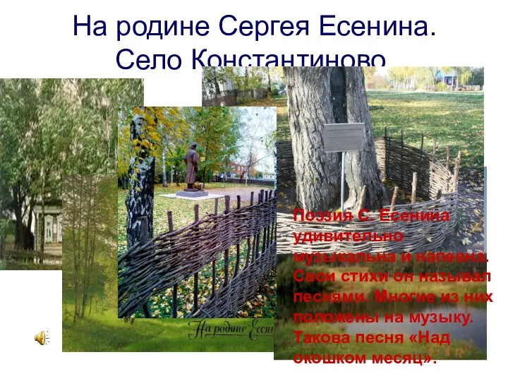 На родине Сергея Есенина. Село Константиново. Поэзия С. Есенина удивительно