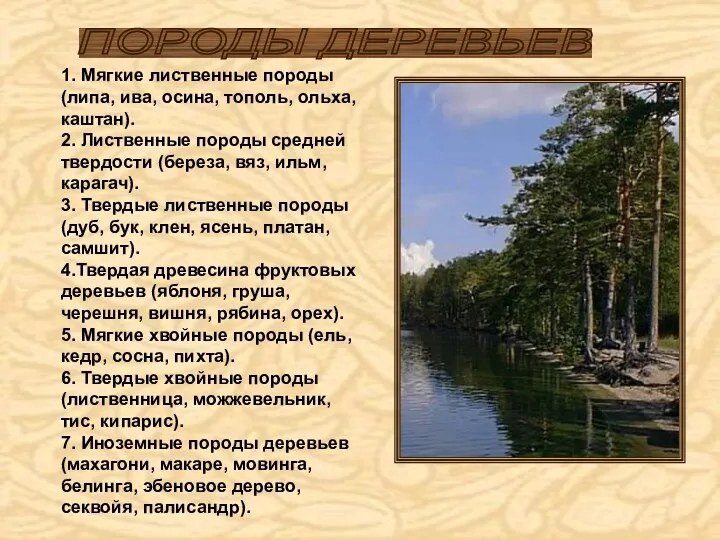 1. Мягкие лиственные породы (липа, ива, осина, тополь, ольха, каштан).