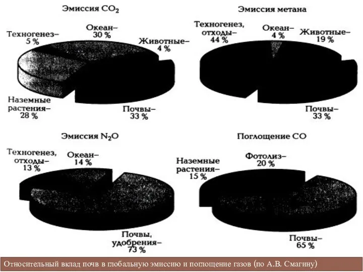 Относительный вклад почв в глобальную эмиссию и поглощение газов (по А.В. Смагину)