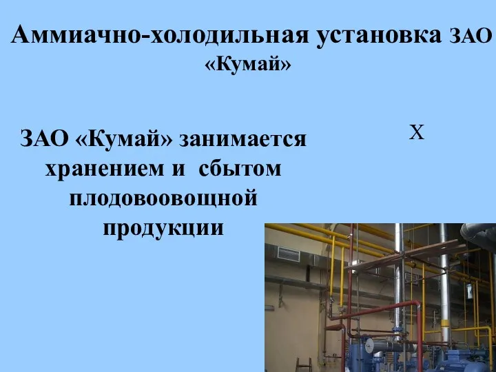 Аммиачно-холодильная установка ЗАО «Кумай» Х ЗАО «Кумай» занимается хранением и сбытом плодовоовощной продукции