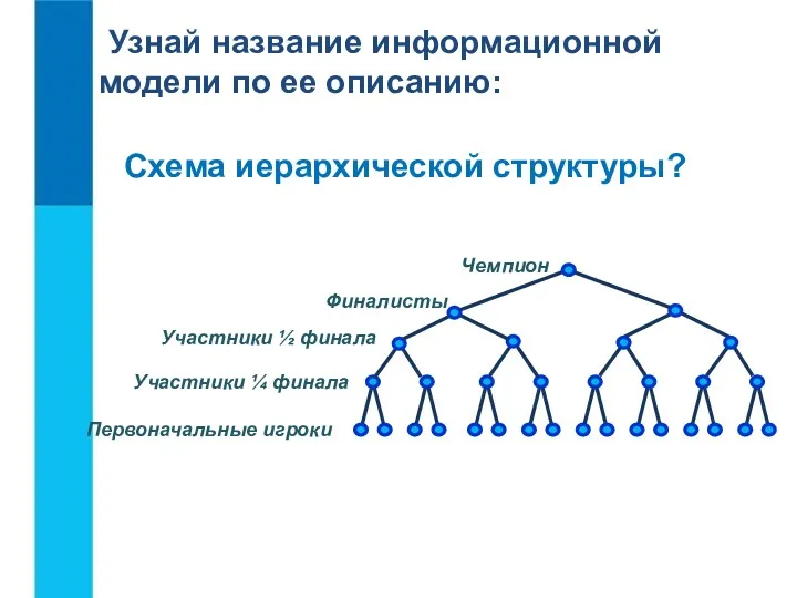 Узнай название информационной модели по ее описанию: Схема иерархической структуры?