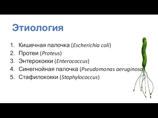 Этиология Кишечная палочка (Escherichia coli) Протеи (Proteus) Энтерококки (Enterococcus) Синегнойная палочка (Pseudomonas aeruginosa) Стафилококки (Staphylococcus)