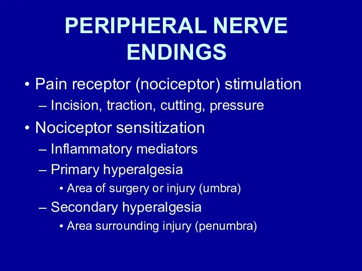 PERIPHERAL NERVE ENDINGS Pain receptor (nociceptor) stimulation Incision, traction, cutting,