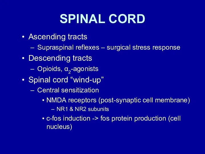 SPINAL CORD Ascending tracts Supraspinal reflexes – surgical stress response