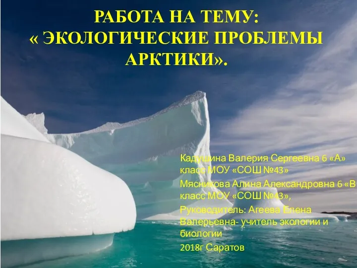 Экологические проблемы Арктики