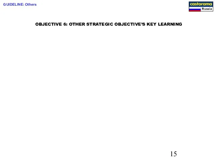 OBJECTIVE 6: OTHER STRATEGIC OBJECTIVE’S KEY LEARNING GUIDELINE: Others