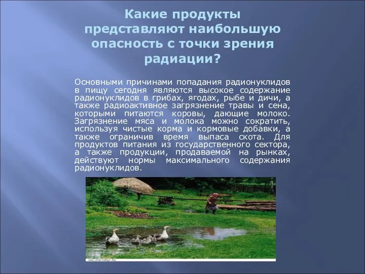 Какие продукты представляют наибольшую опасность с точки зрения радиации? Основными