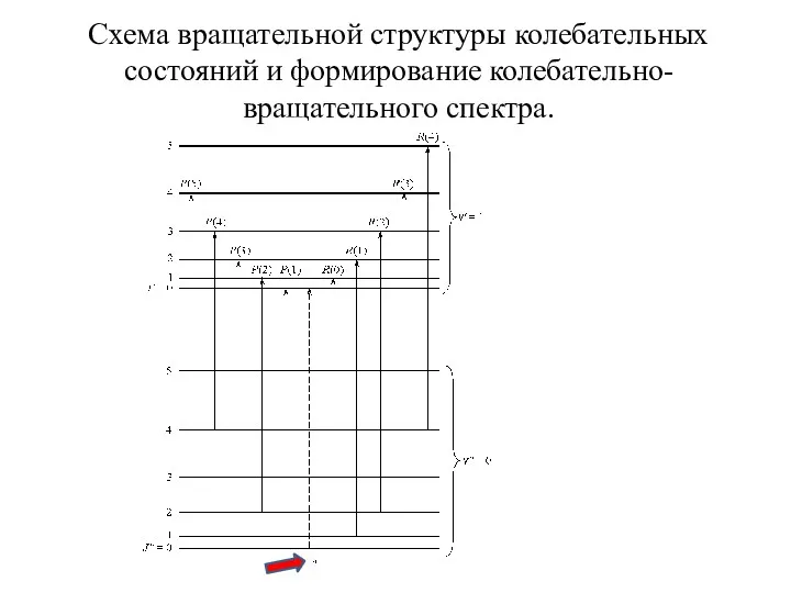 Схема вращательной структуры колебательных состояний и формирование колебательно-вращательного спектра.