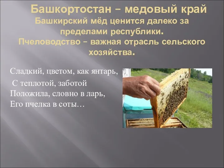 Башкортостан – медовый край Башкирский мёд ценится далеко за пределами