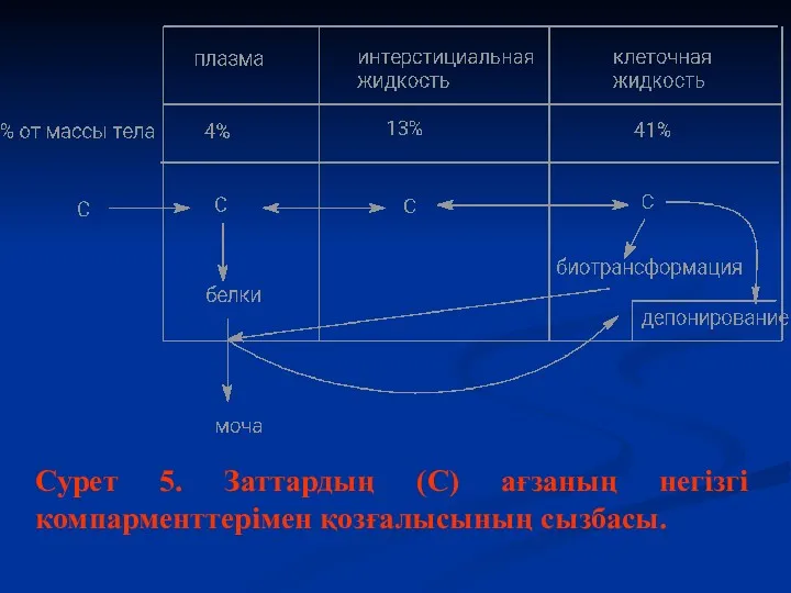 Сурет 5. Заттардың (С) ағзаның негізгі компарменттерімен қозғалысының сызбасы.