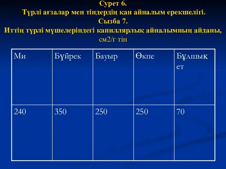 Сурет 6. Түрлі ағзалар мен тіндердің қан айналым ерекшелігі. Сызба 7. Иттің түрлі