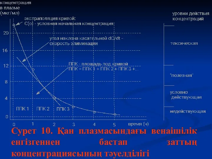 Сурет 10. Қан плазмасындағы венаішілік енгізгеннен бастап заттың концентрациясының тәуелділігі