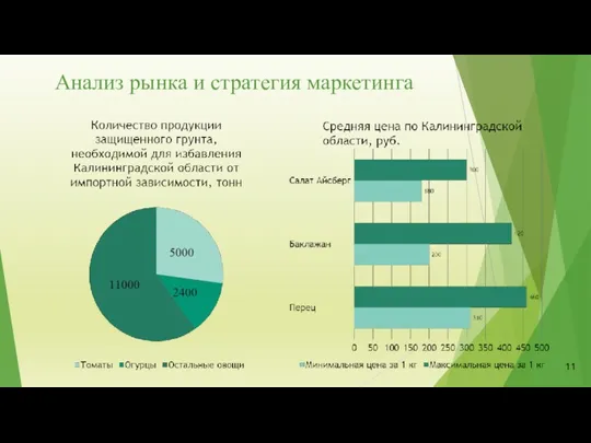 Анализ рынка и стратегия маркетинга