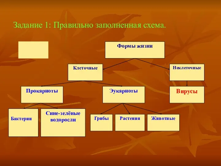 Задание 1: Правильно заполненная схема.