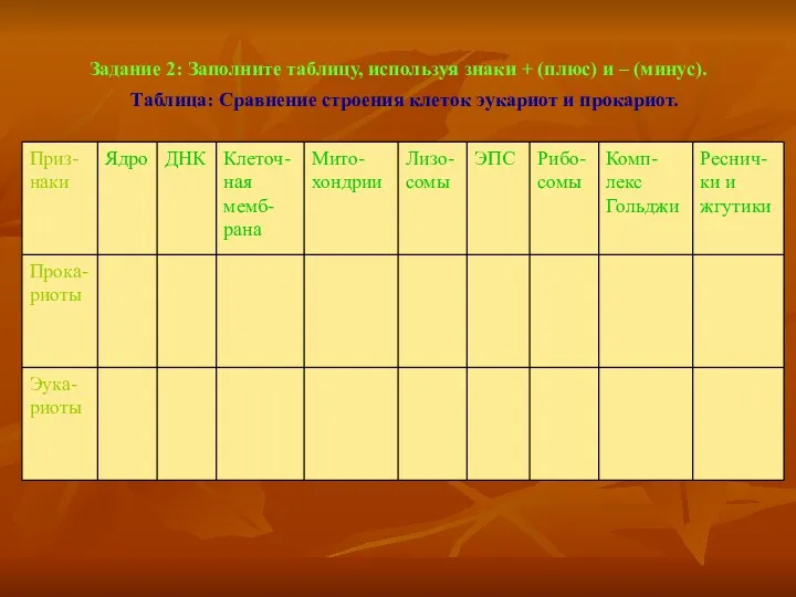 Задание 2: Заполните таблицу, используя знаки + (плюс) и –