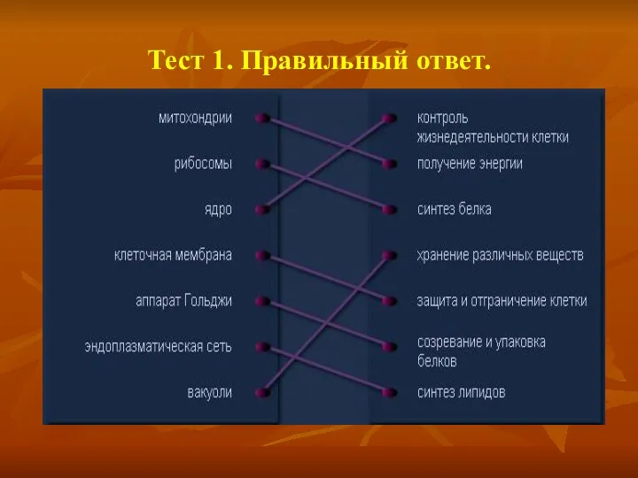 Тест 1. Правильный ответ.