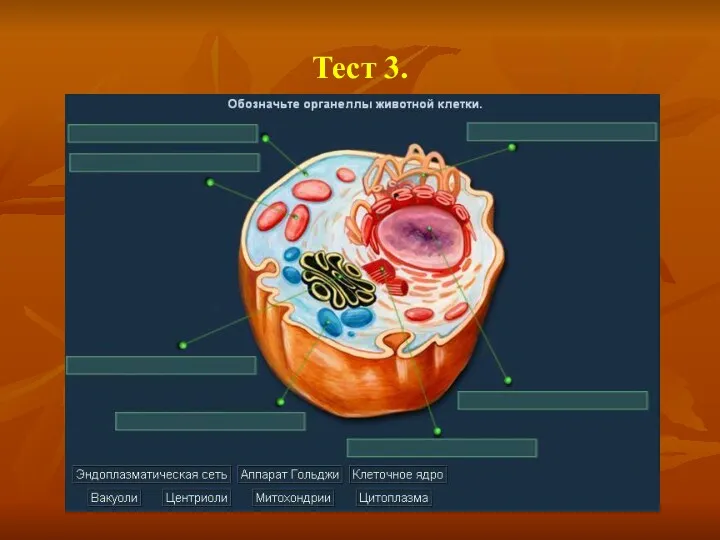 Тест 3.