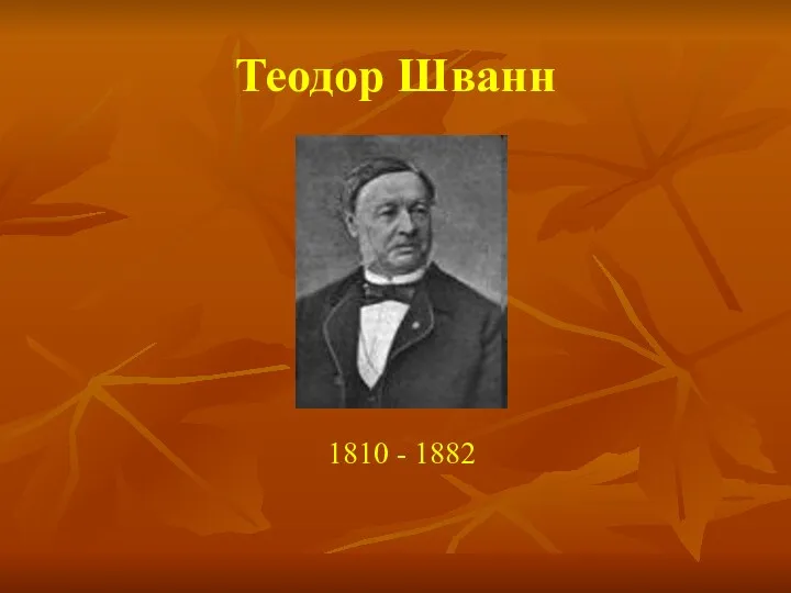 Теодор Шванн 1810 - 1882