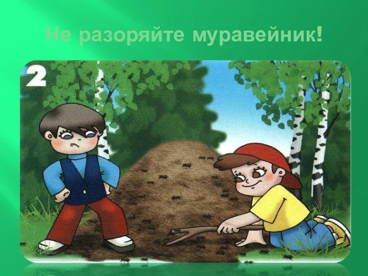 Не разоряйте муравейник!