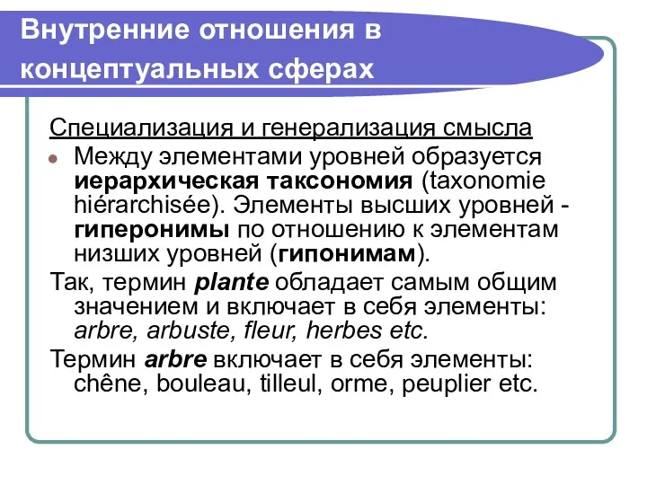 Внутренние отношения в концептуальных сферах Специализация и генерализация смысла Между