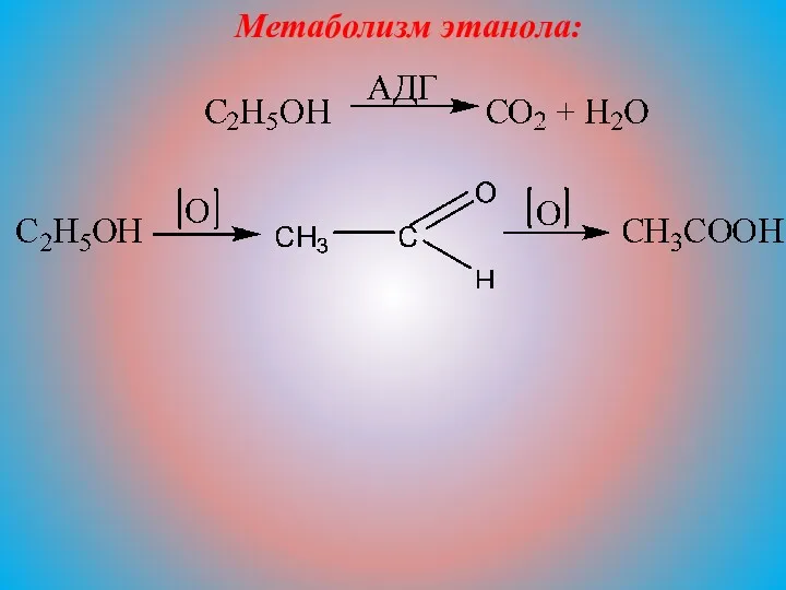 Метаболизм этанола: