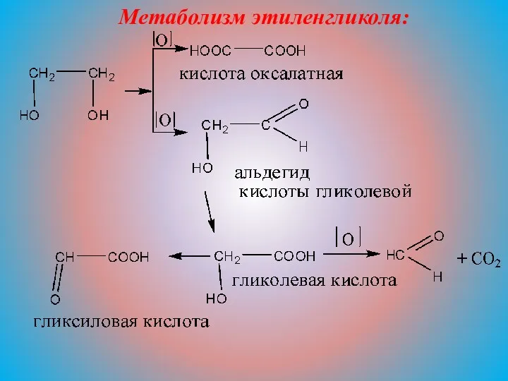 Метаболизм этиленгликоля: