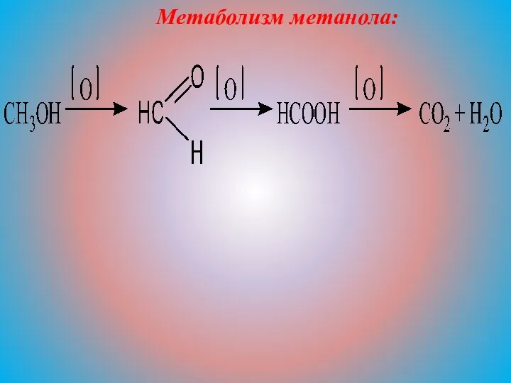 Метаболизм метанола: