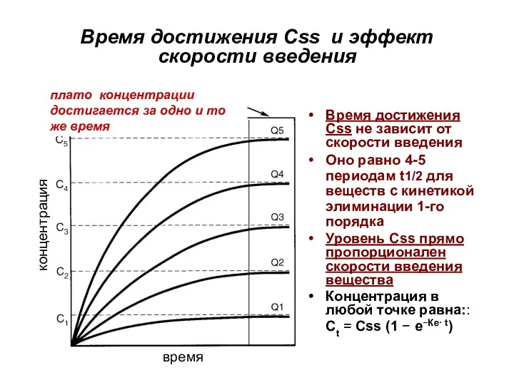 Время достижения Css и эффект скорости введения Время достижения Css