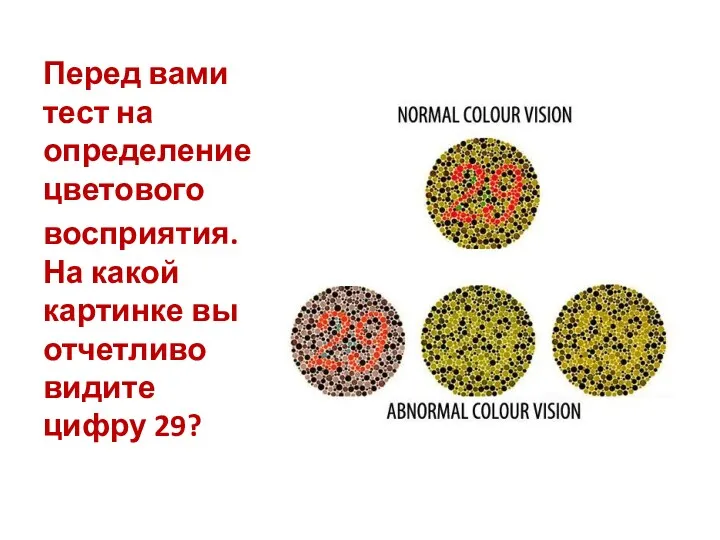 Перед вами тест на определение цветового восприятия. На какой картинке вы отчетливо видите цифру 29?