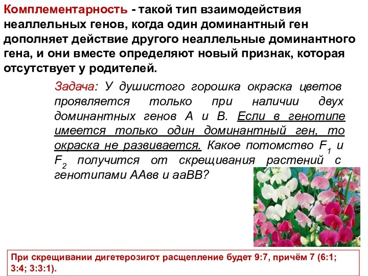 Комплементарность - такой тип взаимодействия неаллельных генов, когда один доминантный