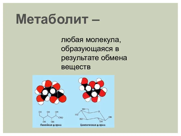 Метаболит – любая молекула, образующаяся в результате обмена веществ